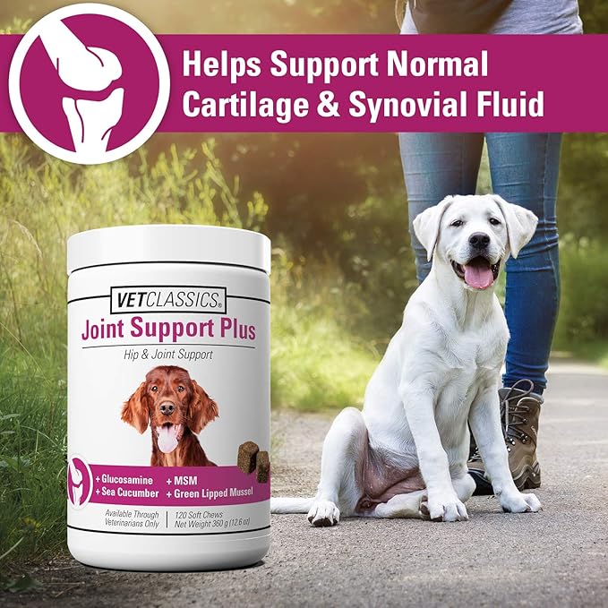 Vet Classics Joint Support Plus Dog Supplement - Hip Health Supplement for Dogs – Alleviates Aches and Discomfort - For Flexibility, Healthy Joint Function in Canines – Antioxidants – 120 Soft Chews