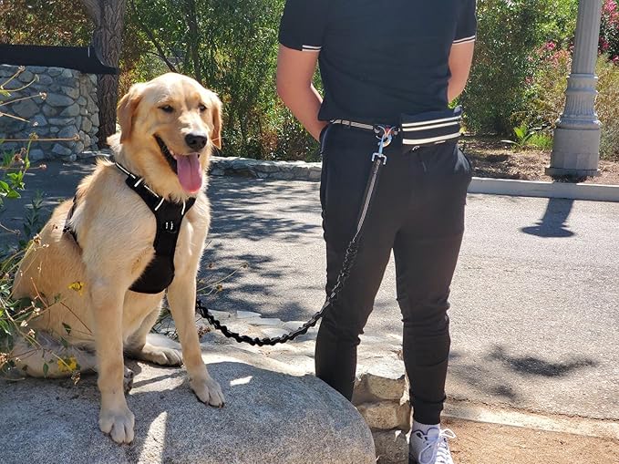 Hands Free Dog Leash with Zipper Pouch, for Medium and Large Dogs, 4Ft 6 Ft, Waist Leash for Dog, Durable Bungee for Walking, Jogging, and Running Your Dog (Large, 25-120 lbs, Black)