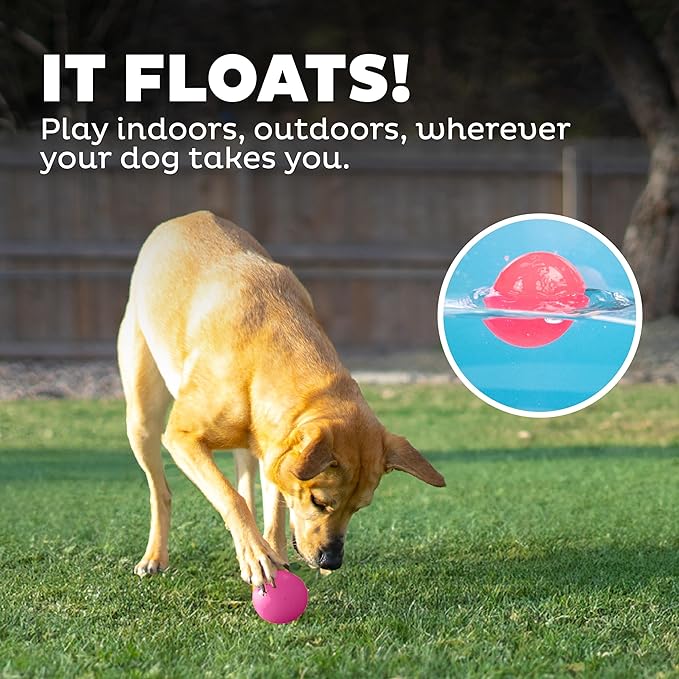Outward Hound Orbee-Tuff Squeak Ball Pink Dog Fetch Toy