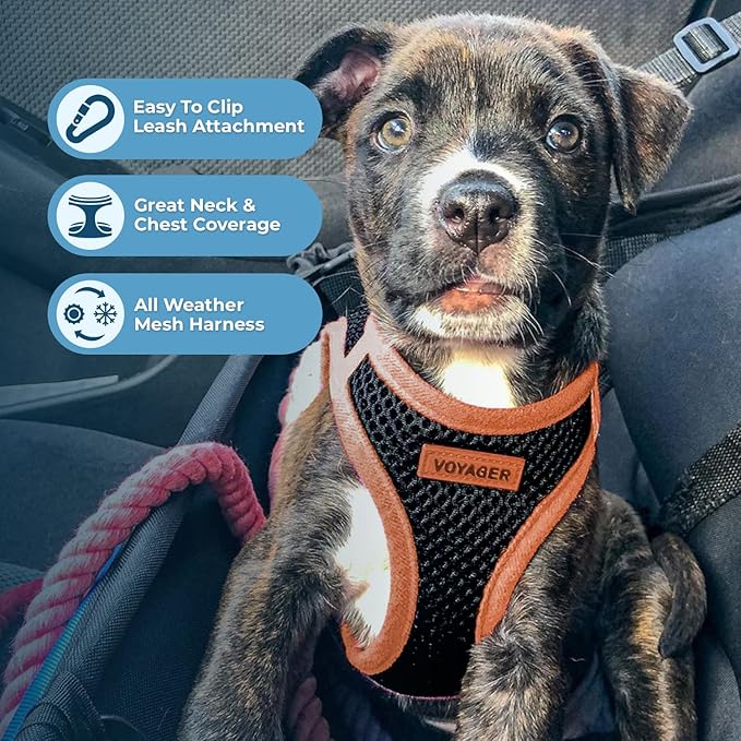 Voyager Step-In Air Dog Harness - All Weather Mesh Step in Vest Harness for Small and Medium Dogs by Best Pet Supplies - Orange, X-Large