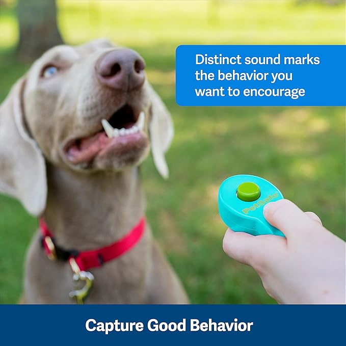 PetSafe Clik-R Dog Training Clicker - Positive Behavior Reinforcer for Pets - All Ages, Puppy and Adult Dogs - Use to Reward and Train - Training Guide Included - Teal