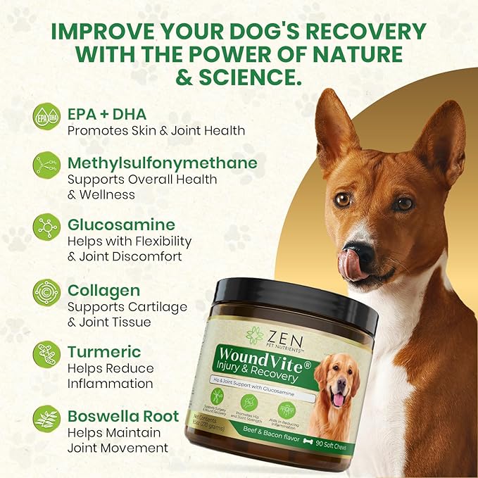 Zen Pet Nutrients WoundVite Hip and Joint Chews for Dogs - Dog Hip and Joint Supplement with Glucosamine Chondroitin, Hyaluronic Acid and MSM for Dog Surgery, Recovery and Joint Relief