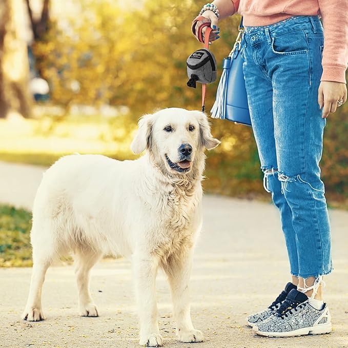 2 Pieces Dog Treats Bag Pet Poop Treat Bag Holder Dog Poop Treat Bag Dispenser Outdoor Holder Carrier Dog Waste Zipper Pouch with Metal Button for Most Dog Leash, Pink, Gray