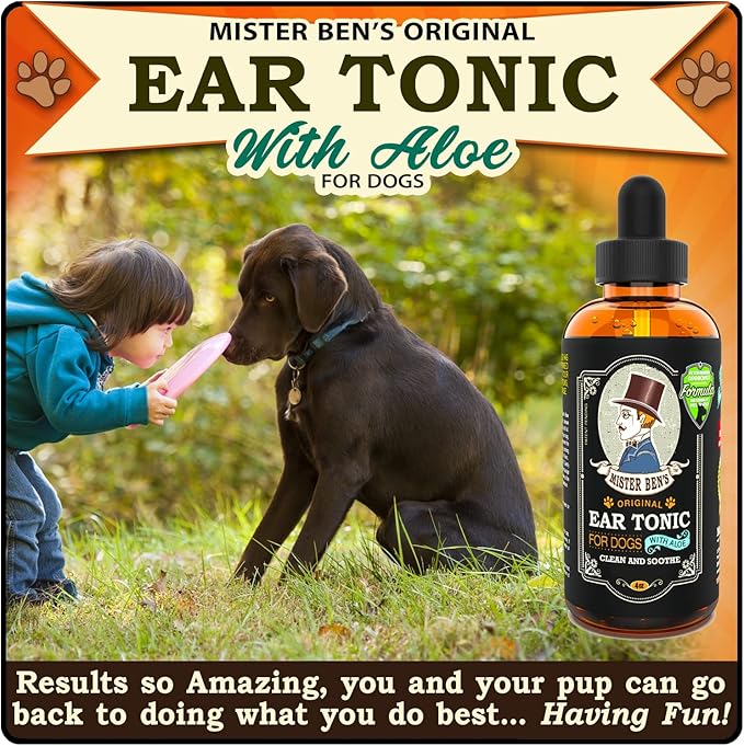 MISTER BEN'S Original Dog Ear Cleaner - Natural, Effective Dog Ear Infection Treatment & Cleanser (Tonic)