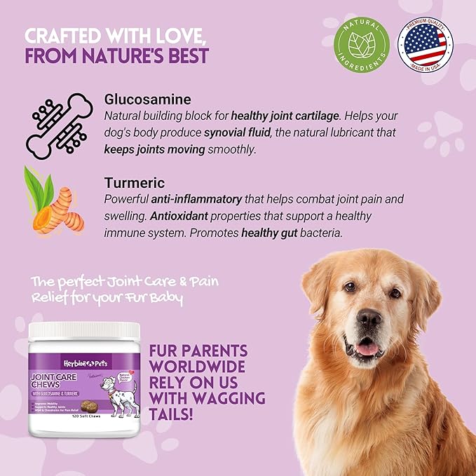 Herbion Pets Joint Care Chews with Glucosamine & Turmeric, 120 Soft Chews - MSM & Chondroitin for Pain Relief - Improves Mobility - Supports Healthy Joints - Made in The USA - for Dogs 12 Weeks+