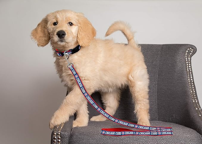 MLB PET Leash, Small, Chicago Cubs Dog Leash, Baseball Team Leash for Dogs & Cats. A Shiny & Colorful Dog & Cat Leash with Emboridered Team Name/Logo Licensed by the MLB