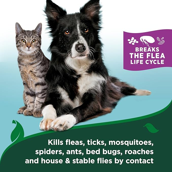 Vet’s Best Flea & Tick Flea and Tick Cat Easy Spray – Cotton Spice Scent – Natural Flea & Tick Prevention – Kills Fleas & Ticks for Cats – 14oz
