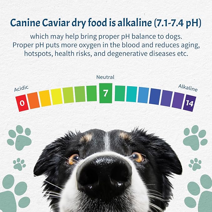 Canine Caviar Open Sky Dog Food – Limited Ingredient Alkaline Holistic Dog Food – All Life Stages – Gluten Free, Ultra-Premium Dog Food – Healthy Skin & Coat – Duck & Quinoa – 22 lbs