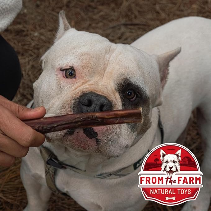 from The Farm Bully Stick 8 inch - Dog Bully Sticks - Odor Free Bully Sticks - Nature Gnaws Natural Dog Chews - Odor Free Bully Sticks for Dogs - Bully Sticks for Medium Dogs