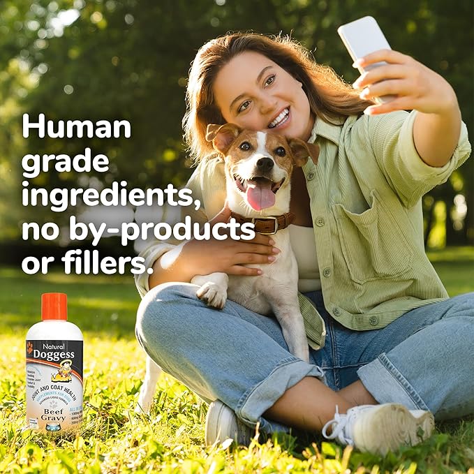 Dressing Best Hip and Joint Supplement for Dogs, Glucosamine & Chondroitin/Joint Health/Salmon Oil for Dogs Skin and Coat Health, Delicious Beef Gravy Flavor, 32 Oz