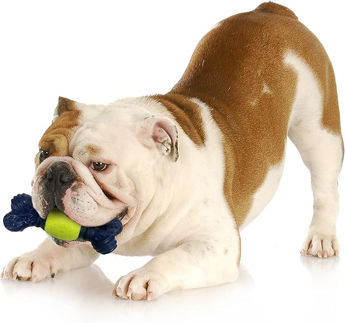 Nylabone Power Play Tennis Play 'n Fetch Interactive Dog Toy