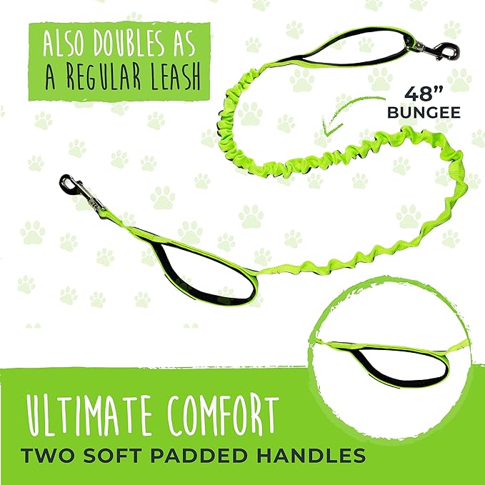 Mighty Paw Hands Free Dog Leash | Bungee Waist Leash for Dog Walking. Dog Running Leash Hands Free. Hands Free Leash for Large Dogs, Medium & Small Dogs. Dog Leash Waist Belt (36" - 48") Up To 150 lbs