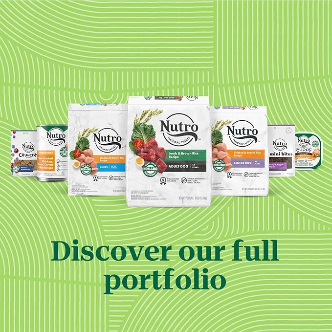 NUTRO Natural Grain Free Adult Dog Wet Food Cuts in Gravy Variety Pack of Beef, Lamb, Chicken, and Turkey Recipes, 3.5 oz. Trays (Pack of 36)