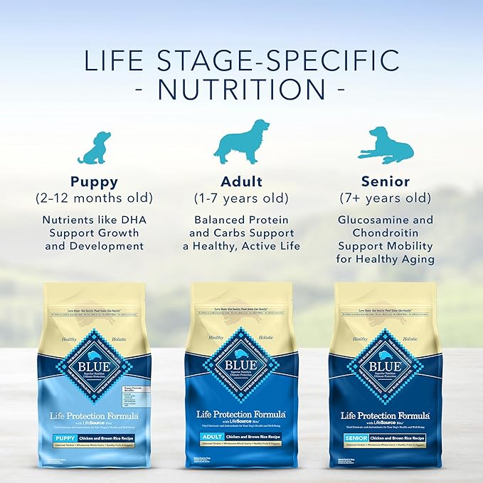 Blue Buffalo Life Protection Formula Natural Senior Dry Dog Food, Chicken and Brown Rice 34-lb