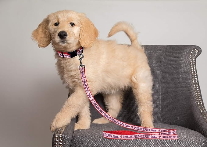 MLB PHILADELPHIA PHILLIES Dog Leash, Large