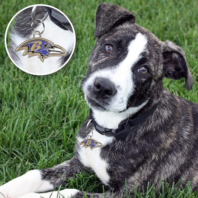 NFL Baltimore Ravens Engraving Pet ID Tags in 32 Team Logo Shapes Personalized Dog Tags and Cat Tags with 3 Lines of Customizable Text for Tracking & Safety. Stainless Steel Pet ID Tracking Tags