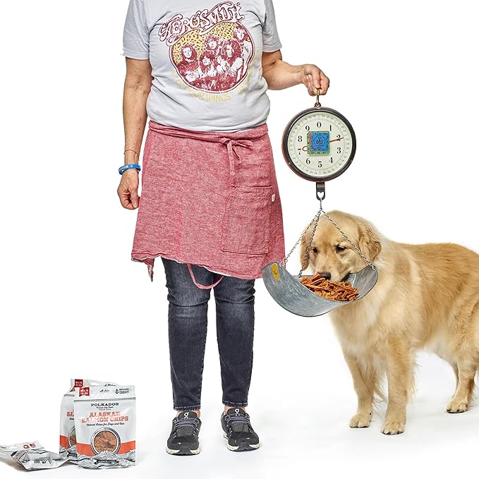 Polkadog Crunchy Alaskan Salmon Chips, Dog Treats – 100% Wild-Caught Fish Treat for Dogs, Cats – All-Natural, Grain-Free, Gluten-Free Pet Chips – Single Ingredient Snacks – 4 oz.