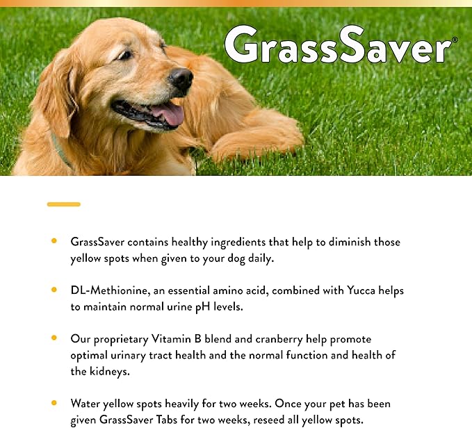NaturVet – GrassSaver Supplement for Dogs – Healthy Supplement to Help Rid Your Lawn of Yellow Spots – Synergistic Combination of B-Complex Vitamins & Amino Acids – 500 Tablets