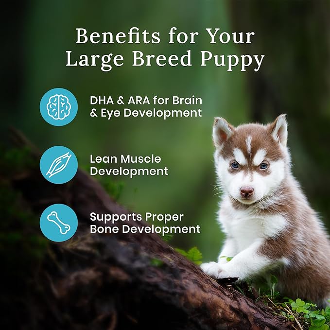 Blue Buffalo Wilderness High Protein Natural Large Breed Puppy Dry Dog Food plus Wholesome Grains, Chicken 28 lb bag