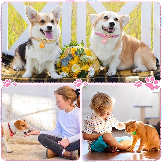 150 Pcs Blank Dog Pet Tags 25 mm for Engraving Aluminum Round Discs Smooth Metal Tag Colorful Double Stamping Tag Pendants with Hole for DIY Craft Pet Tag Charm Supplies