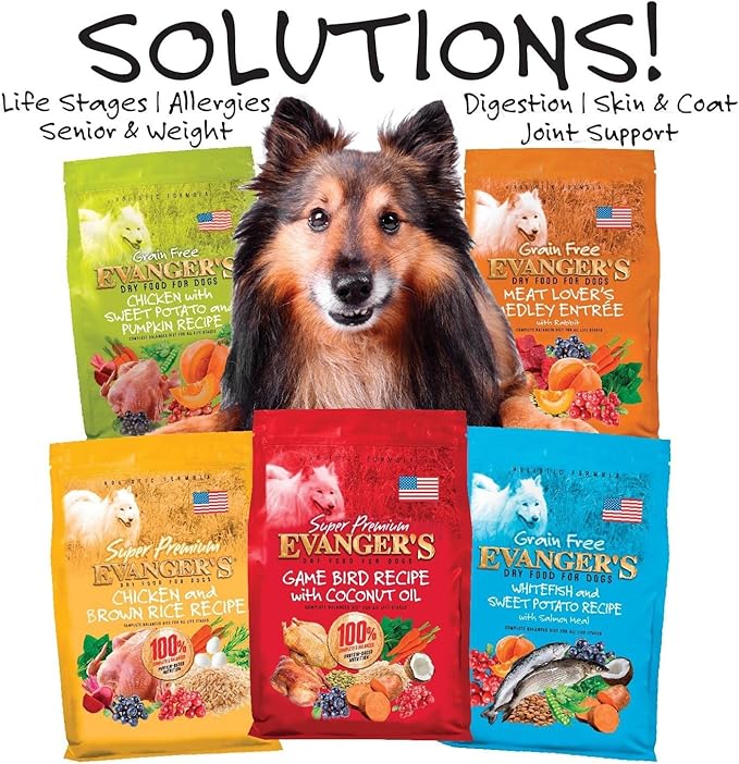 Evanger's Grain-Free Chicken with Sweet Potato & Pumpkin Dry Dog Food Brown, 16.5