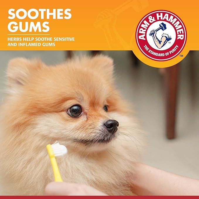 Arm & Hammer for Pets Clinical Care Enzymatic Toothpaste for Dogs | Soothes Inflamed Gums | Dog Toothpaste Enzymatic, Chicken Flavor, 2.5 Oz | Arm and Hammer Toothpaste for Dogs, Dog Dental Care