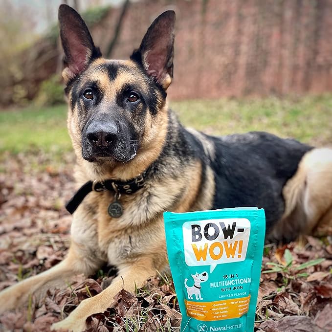 NovaFerrum Bow Wow | 18-in-1 Multifunctional with Iron Supplement for Dogs | Blood Support for Anemia | Glucosamine | Probiotics | Antioxidants | Chicken Flavor | 90 Chews