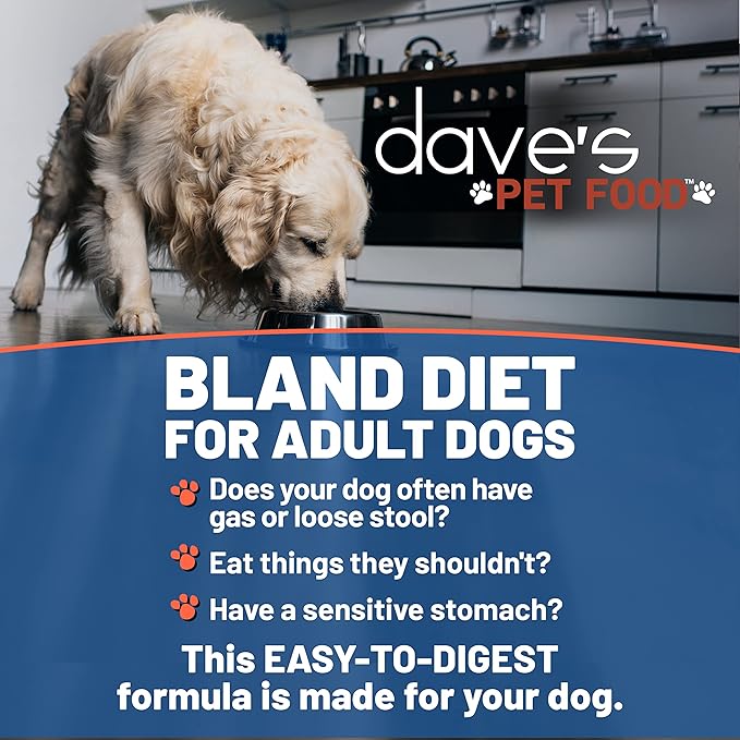 Dave's Pet Food Bland Diet Dog Food (Chicken & Rice), Easy to Digest, Gluten-Free Canned Wet Dog Food for Sensitive Stomach, Dave's Dog Food, 13.2 Ounce (Pack of 12)