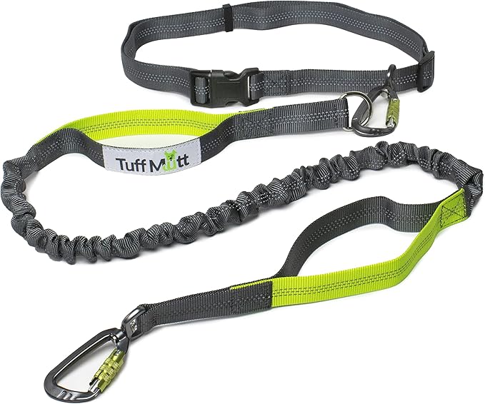 Hands Free Dog Leash for Running, Walking, Hiking, Durable Dual-Handle Bungee Leash is 4 Feet Long with Reflective Stitching, Adjustable Waist Belt That Fits 42 Inch Waist (Carabiner/Green)