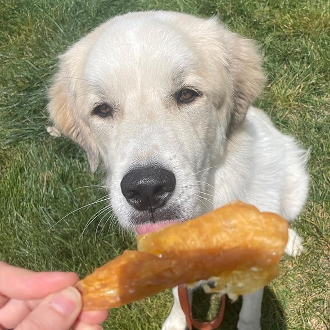 Best Bully Sticks Chicken Breast Dehydrated Dog Treats - Chicken Fillet Treats for Dogs 16 oz. - All Natural High Protein Real Chicken Premium Jerky Dog Chews - Grain Free Dog Treats