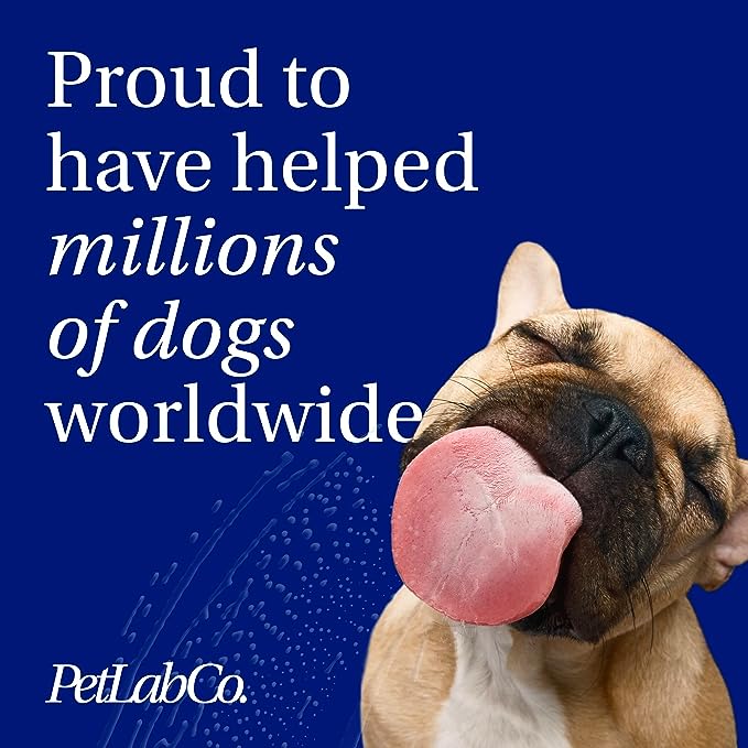 Petlab Co. Dental Sticks – Dog Dental Chews -Target Plaque & Tartar Build-Up at The Source - Designed to Maintain Your Dog’s Oral Health, Keep Breath Fresh and Provide Digestive Help (6 Sticks)