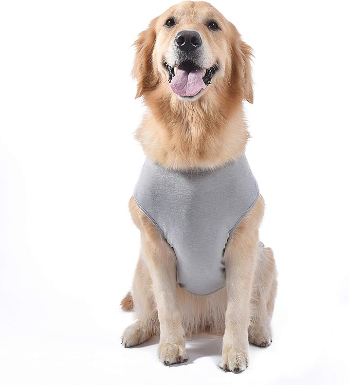 Star Wars for Pets 'You R2 Cool' Gray Dog Tank | Star Wars Dog Shirt for Medium Sized Dogs | Size Medium | Soft, Cute, and Comfortable Dog Clothing and Apparel