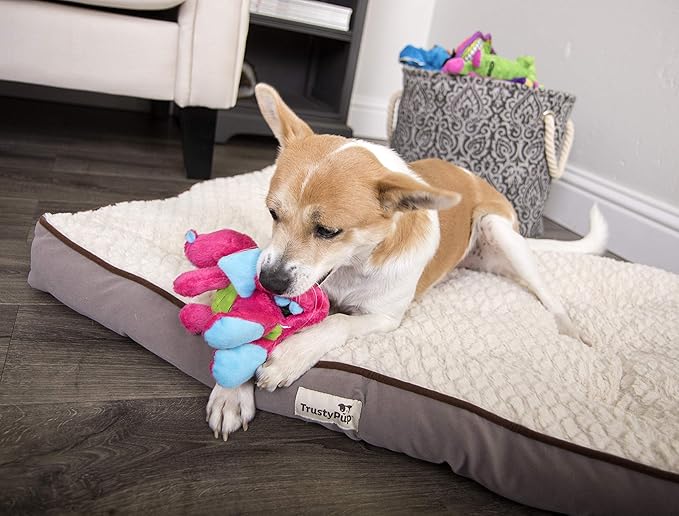goDog Bubble Plush Dragons Squeaky Dog Toy, Chew Guard Technology - Pink, Small