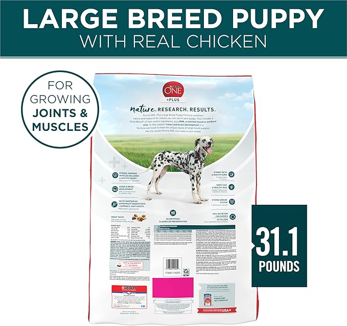 Purina ONE Plus Large Breed Puppy Food Dry Formula - 31.1 lb. Bag