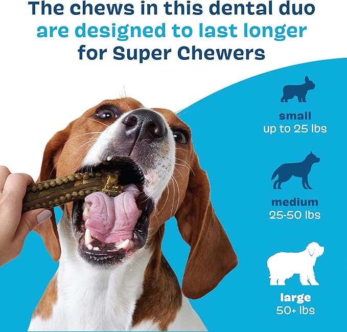 Bark Bright Durable Dental Chews Kit - Dog Tooth Brushing Treatment with Teeth Cleaning Chew Sticks & Toothpaste - Plaque & Tartar Remover for Cleaner Teeth & Fresh Breath - Large Breeds - 15 Chews