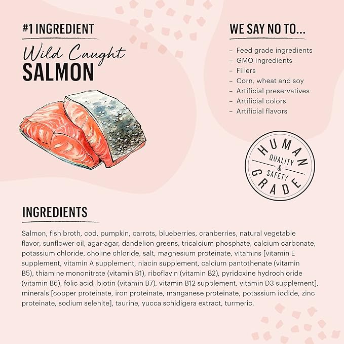 The Honest Kitchen Grain Free Minced Salmon & Cod in Fish Broth Gravy Wet Cat Food, 2.8 oz x12