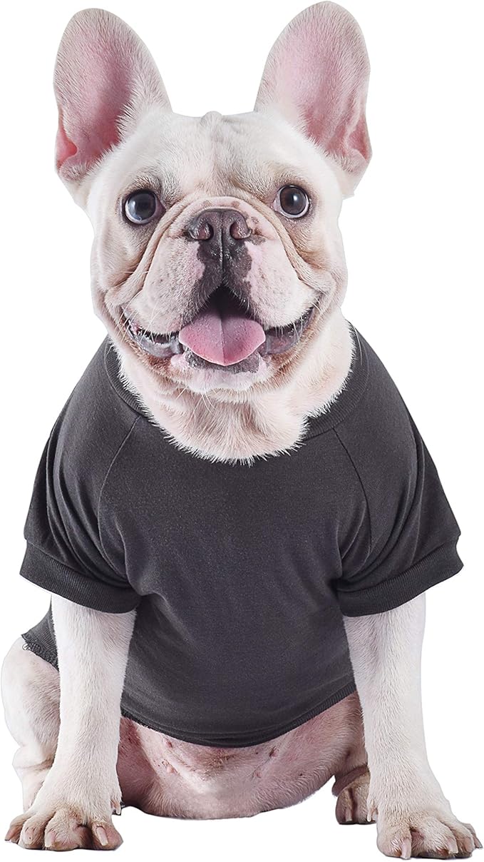 Star Wars for Pets Boba Fett Dog Tee Shirt | Soft and Comfortable Pull Over Dog Tshirt, Medium | Medium Sized Dog Shirt for Mid-Sized Dogs, Machine Washable Dog Apparel & Accessories