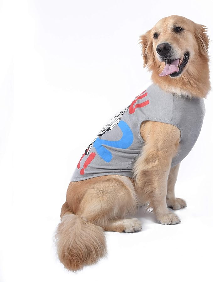 Star Wars for Pets 'You R2 Cool' Gray Dog Tank | Star Wars Dog Shirt for Medium Sized Dogs | Size Medium | Soft, Cute, and Comfortable Dog Clothing and Apparel