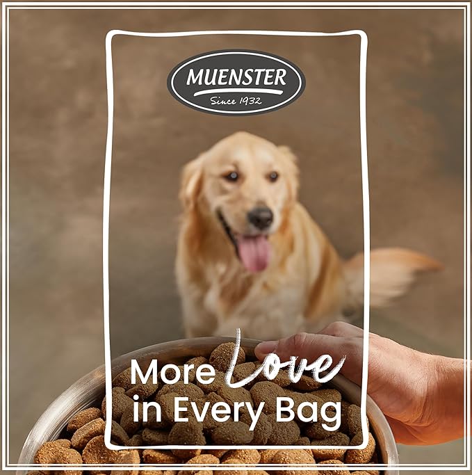 Muenster Ancient Grains Dog Food (22lb) - Ocean Fish Dry Dog Food 22 lb Bag โ Gluten Free, Non-GMO High Protein Dog Food - Healthy Digestive Dog Kibble for All Life Stages