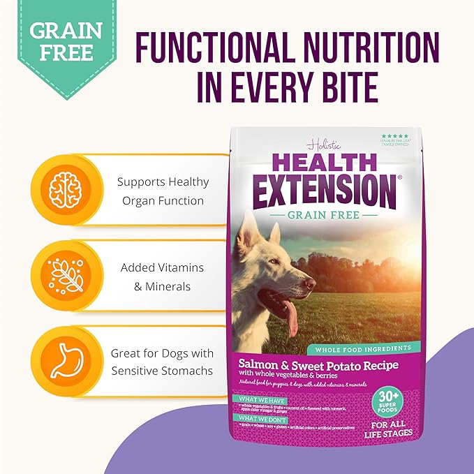 Health Extension Dry Dog Food, Natural Food with added Vitamins & Minerals, Suitable for All Puppies, Grain Free, Salmon & Sweet Potato Recipe with Whole Vegetable & Berries (1 Pound)