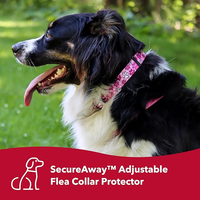 Coastal Pet SecureAway Flea Collar Protectors - Comfortable Dog Collar Accessory - Protective Flea Collar for Dogs - Adjustable Dog & Puppy Flea Collar Protection - Multi Bones, 1" x 14-20"