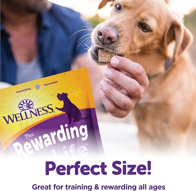 Wellness Rewarding Life Grain-Free Soft Dog Treats, Made in USA with Healthy Ingredients, Ideal for Training (Chicken & Lamb Recipe, 6-Ounce Bag)