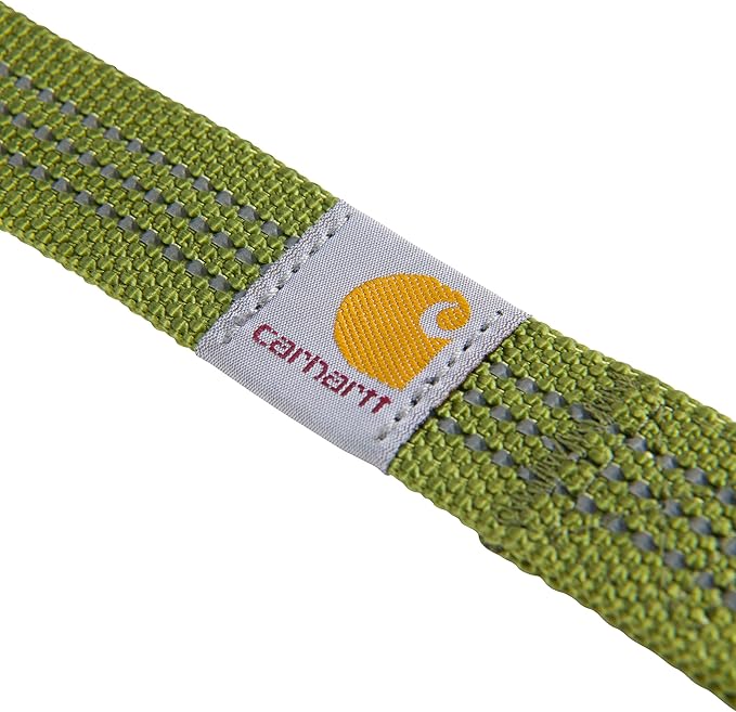 Carhartt Pet Durable Nylon Webbing Leashes for Dogs, Reflective Stitching for Visibility, Light Moss, Large