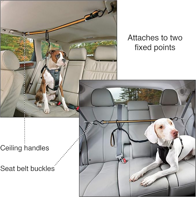 Kurgo Auto Zipline for Dogs, Adjustable Dog Safety Belt Leash, Pet Seat Belt Tether, Reduce Distracted Driving, includes Dog Leash & Carabiner Clips, 6 feet