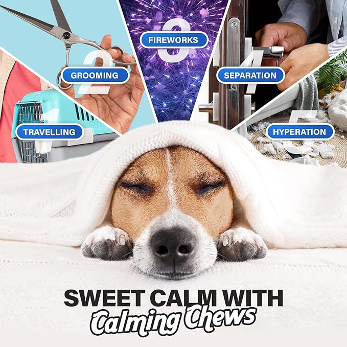 Charlie & Buddy Calming Chews for Dogs, Dog Anxiety Relief, Promote Relaxation, Dog Calming Chews with Melatonin for Dogs, Chamomile, Magnesium Citrate, 90 Soft Chews, Beef Liver Flavor