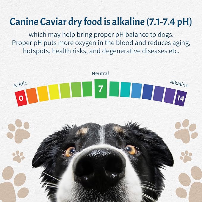 Canine Caviar Free Spirit Dog Food Limited Ingredient Alkaline Holistic Dog Food – All Life Stages Gluten Free, Ultra-Premium Dog Food – Healthy Skin & Coat – Chicken & Pearl Millet – 4.4 lbs