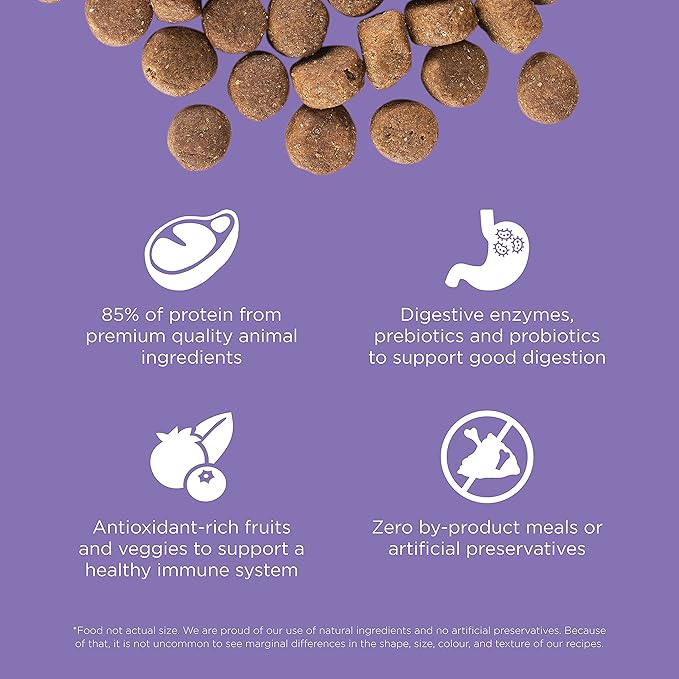 GO! SOLUTIONS Carnivore Grain Free Dog Food for Senior Dogs, 12 lb – Chicken, Turkey + Duck Recipe – Protein Rich Dry Dog Food – Complete + Balanced Nutrition for Senior Dogs