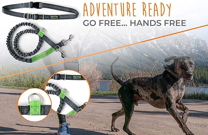Mighty Paw Hands Free Dog Leash | Bungee Waist Leash for Dog Walking. Dog Running Leash Hands Free. Hands Free Leash for Large Dogs, Medium & Small Dogs. Dog Leash Waist Belt (36" - 48") Up To 150 lbs