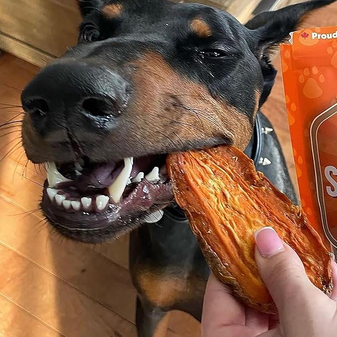 Covington Sweet Potato - Bacon - 11.46 oz, Dehydrated Dog Treats, Vitamin Rich All Natural Chew, This & That Canine Co