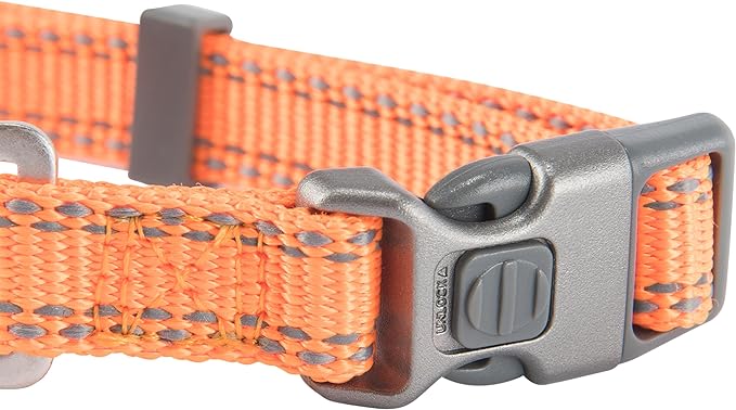 Browning Classic Preformance Webbing Pet Collar, Fully Adjustable, Available in Solid Colors and Camo Patterns, Safety Orange, Medium